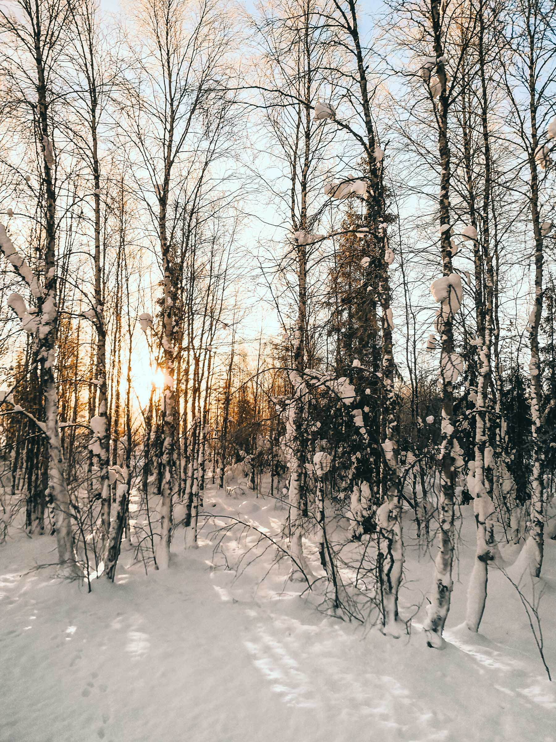 Tommeezjerry-Lifestyleblog-Fashionblog-Maennermodeblog-Maennerblog-Modeblog-Huawei-Mate-10-Pro-Travel-Photography-Finland-Winter-Winterwonderland-Nature-Snow-Ice